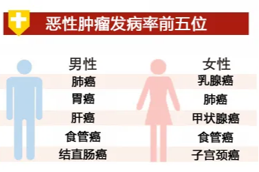 2023 河南省肿瘤登记年报重磅发布