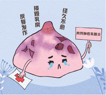 肉芽肿乳腺炎，一种死不了却让你受尽折磨的痛