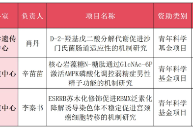 新突破！西北妇女儿童医院获批 3 项国家自然科学基金项目