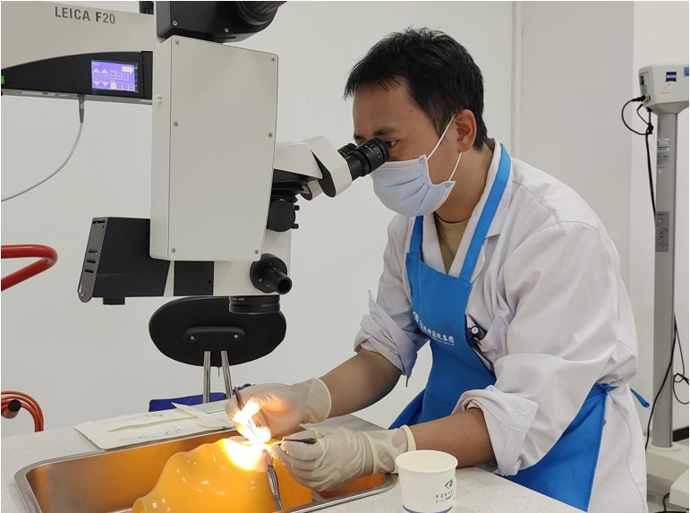 华厦眼科医师节特辑 | 杨帆：守护孩子眼健康，终身致力于小儿眼科事业