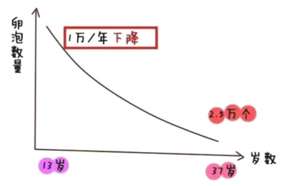 关于高龄备孕那些事
