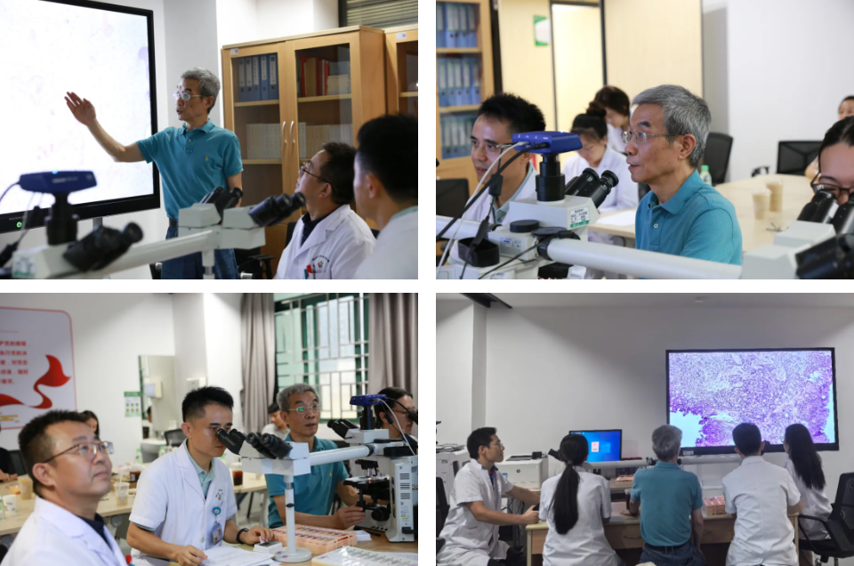 复旦大学附属妇产科医院周先荣教授到深圳市妇幼保健院病理科交流指导