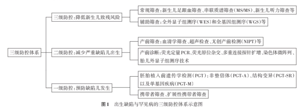 预防出生缺陷丨超雄风波：产检抉择与防缺陷全指南