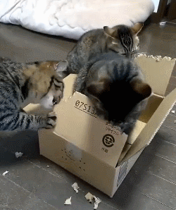 血压飙升，警惕身体深处的「地雷」