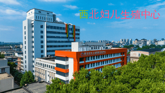 高龄,怀孕率下降,流产率升高…如何应对?