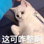 血管也会「堵车」！警惕下肢静脉血栓