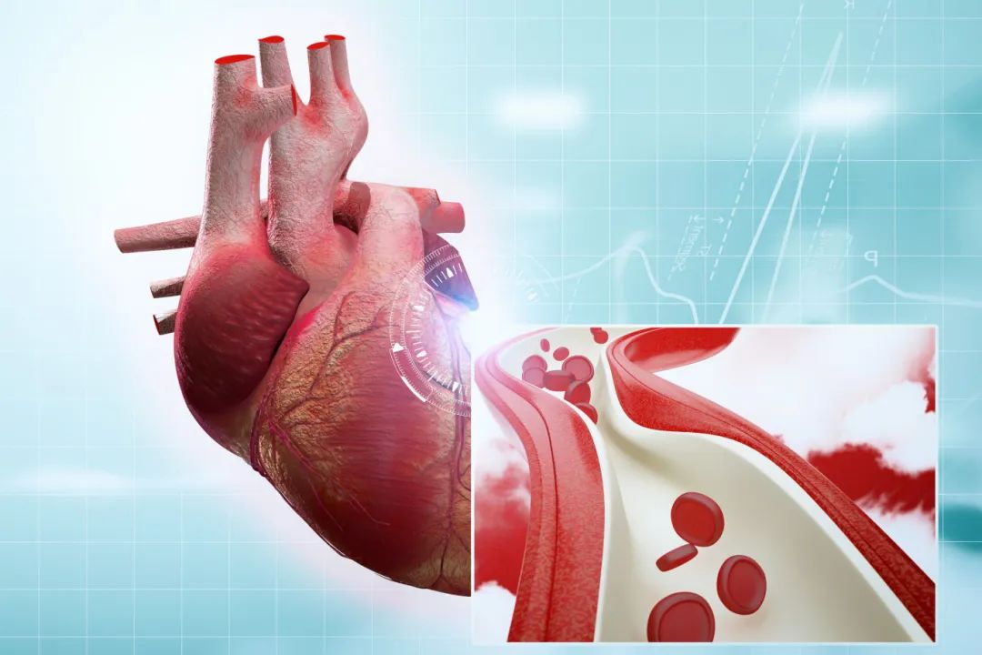 『全国心力衰竭日』武汉亚心总医院「守护心健康,共筑新质量」系列活动