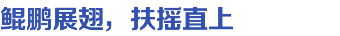 同心逐梦,志在巅峰 | 一脉阳光影像学院 2024 年度管培生年终总结会议圆满举行