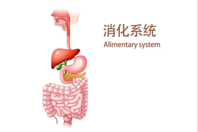 消化内科和内镜中心的那点儿事