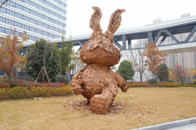 风靡杭城的「落叶兔」来浙大邵逸夫医院大运河院区啦！