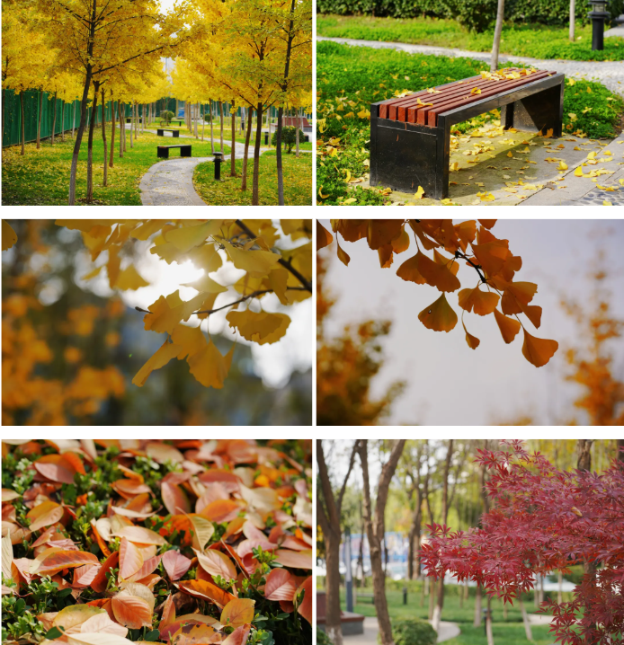 看见你我·爱在妇幼│第四季度摄影作品评选