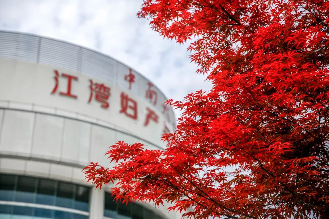 做试管遇到子宫内膜息肉怎么办?