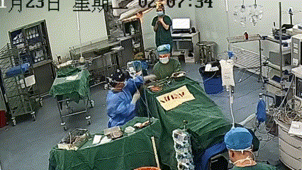 2024 年十大感人故事（一）| 没有人生而无畏，只是他们，选择了勇敢