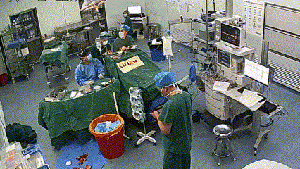 2024 年十大感人故事（一）| 没有人生而无畏，只是他们，选择了勇敢