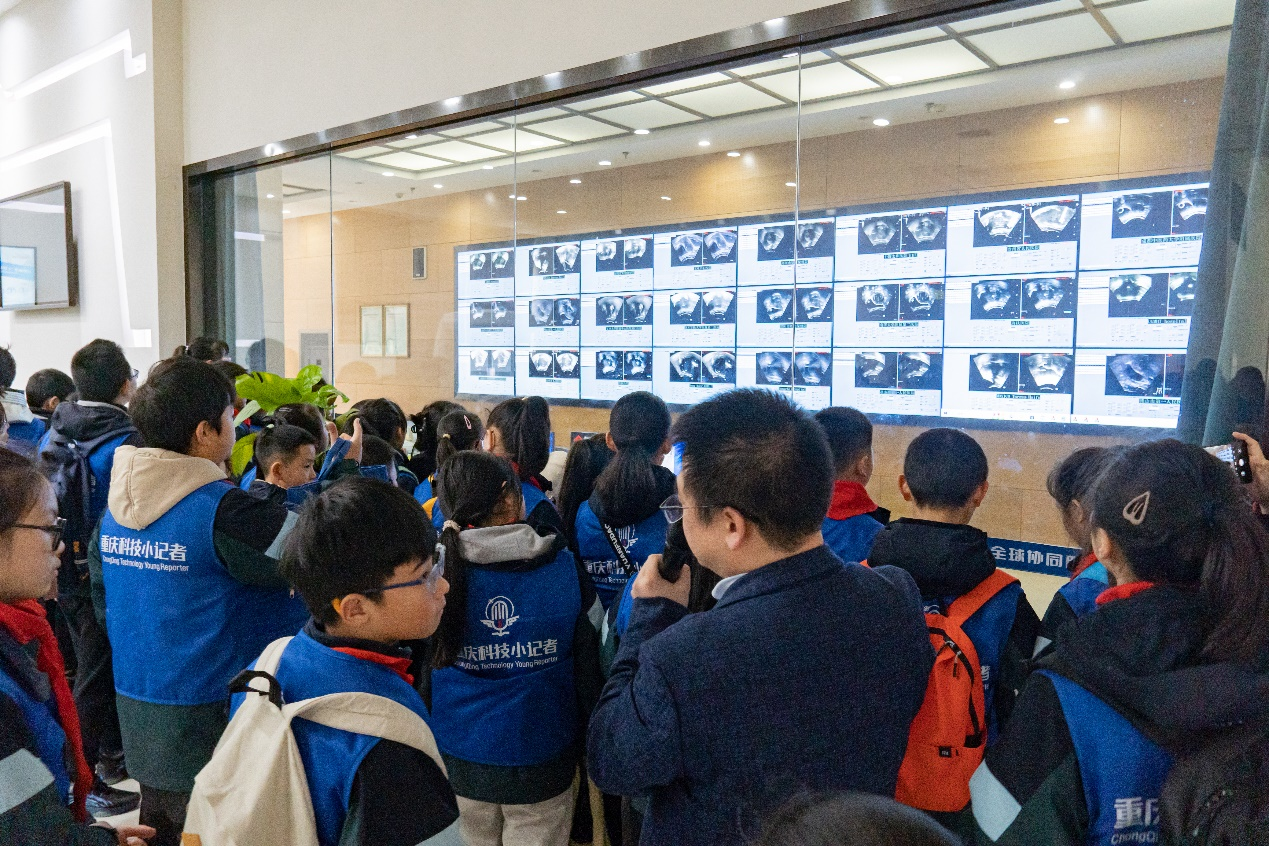 探索超声波奥秘,40 多组树人博文小学科技小记者走进海扶医疗聚焦超声技术科普中心