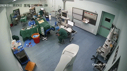 2024 年十大感人故事（一）| 没有人生而无畏，只是他们，选择了勇敢