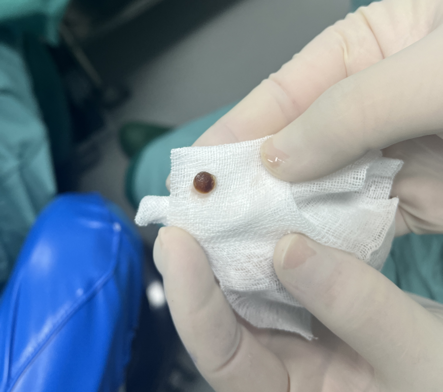 4099563747027531981.png?file=595615821