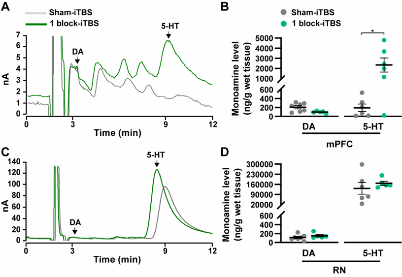 西安交大二附院康复医学科神经康复团队 2025 年初 2 篇高质量论文在线发表