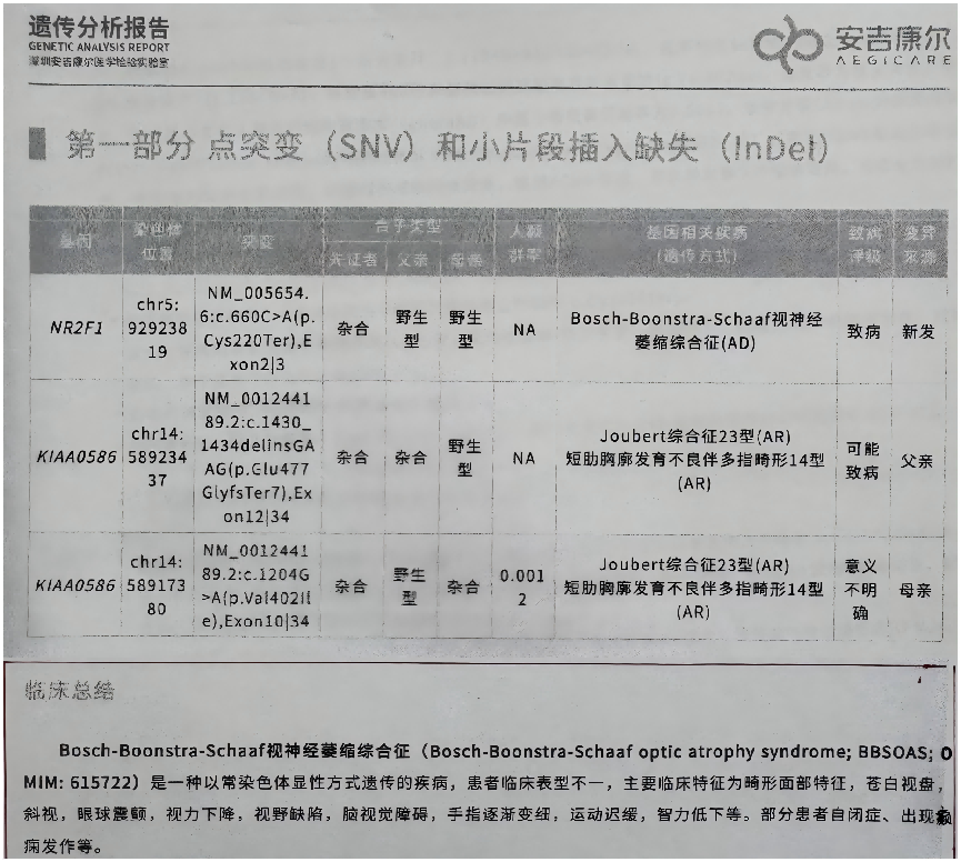 康复圆梦，评定先行