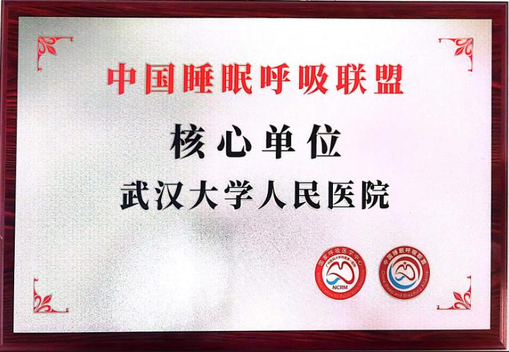 武汉大学人民医院牵头组建的「湖北省睡眠呼吸联盟」在汉成立