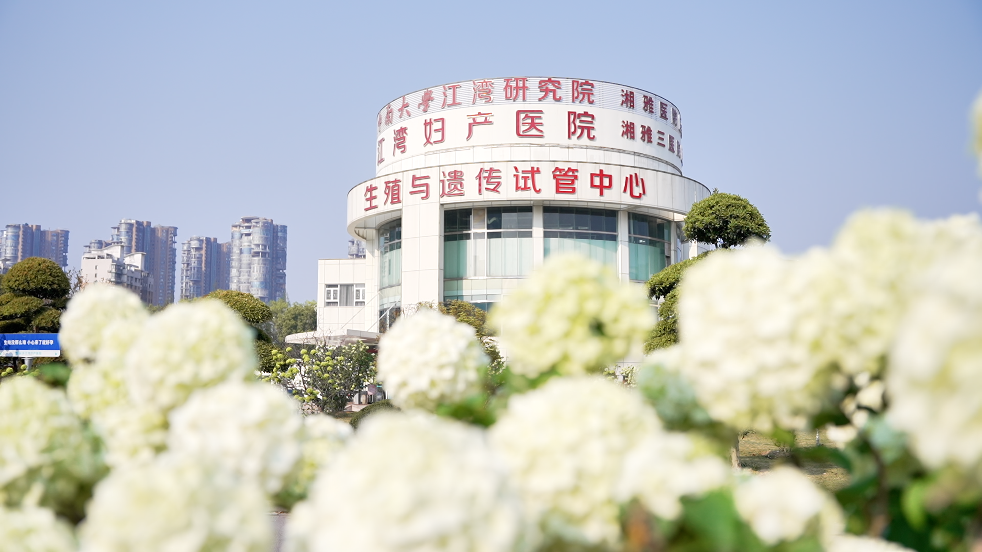 【世界唐氏综合征日】读懂「21 号密码」，让爱与科学照亮生命的多样性