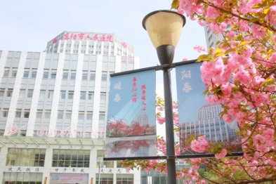 年近 70 的她，却在病房过起了 16 岁生日！究竟发生了什么？