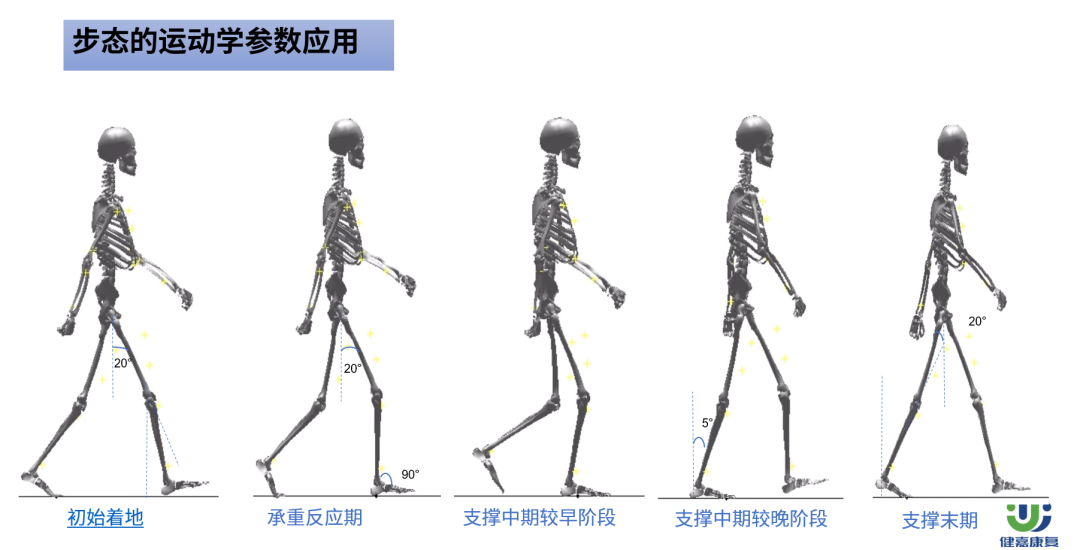 南京健华康复医院 郭亮亮 | 步态重塑与运动康复