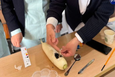 我和萝卜有个约定——从萝卜模型到专业护理，伤口造口小组工作坊圆满落幕