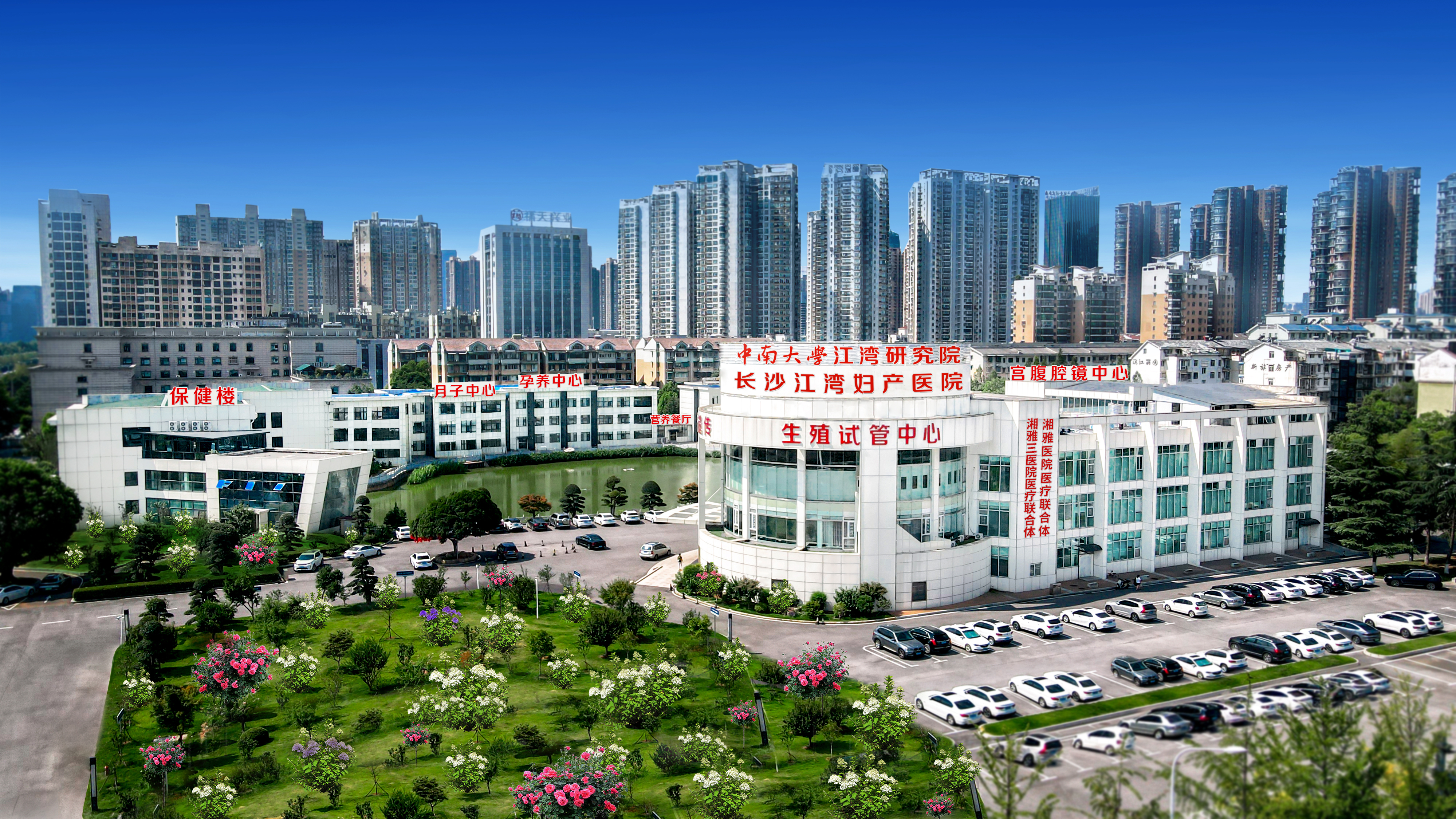 「百子」绣球花海，就在长沙人都来打卡的江湾妇产医院！
