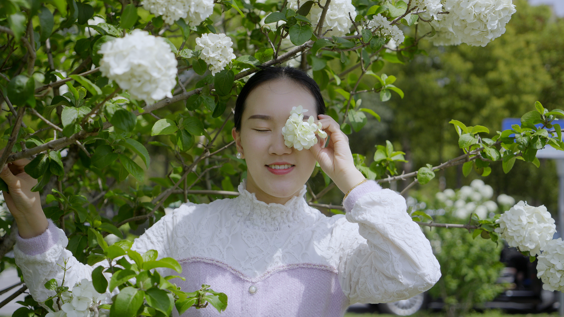 「百子」绣球花海，就在长沙人都来打卡的江湾妇产医院！