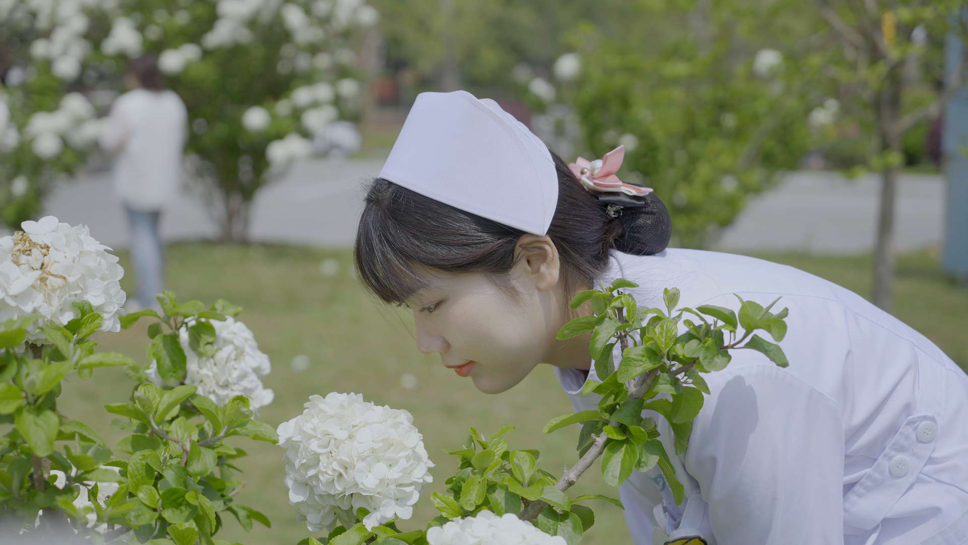 「百子」绣球花海，就在长沙人都来打卡的江湾妇产医院！