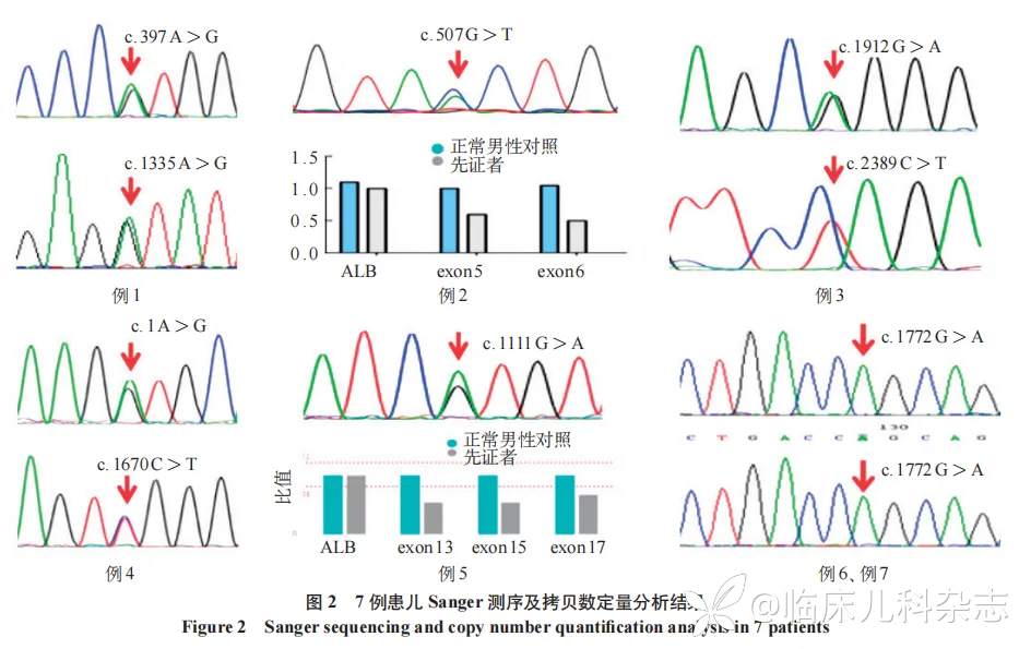 脑组织铁沉积神经变性病患儿的临床与遗传学分析