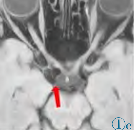 8484336712927335191.png?file=637214011