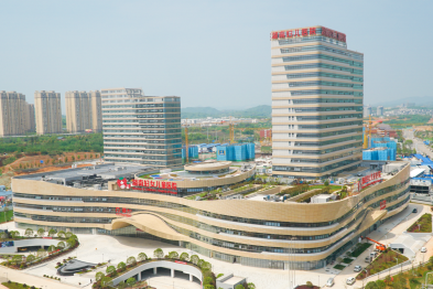 体检报告上的红色警报：尿酸偏高到底要不要紧？