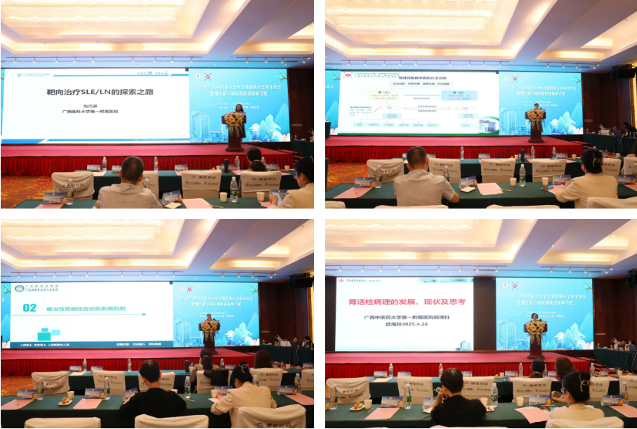 2025 年广西中西医结合学会肾脏病分会学术年会暨慢性肾小球疾病新进展学习班成功举行