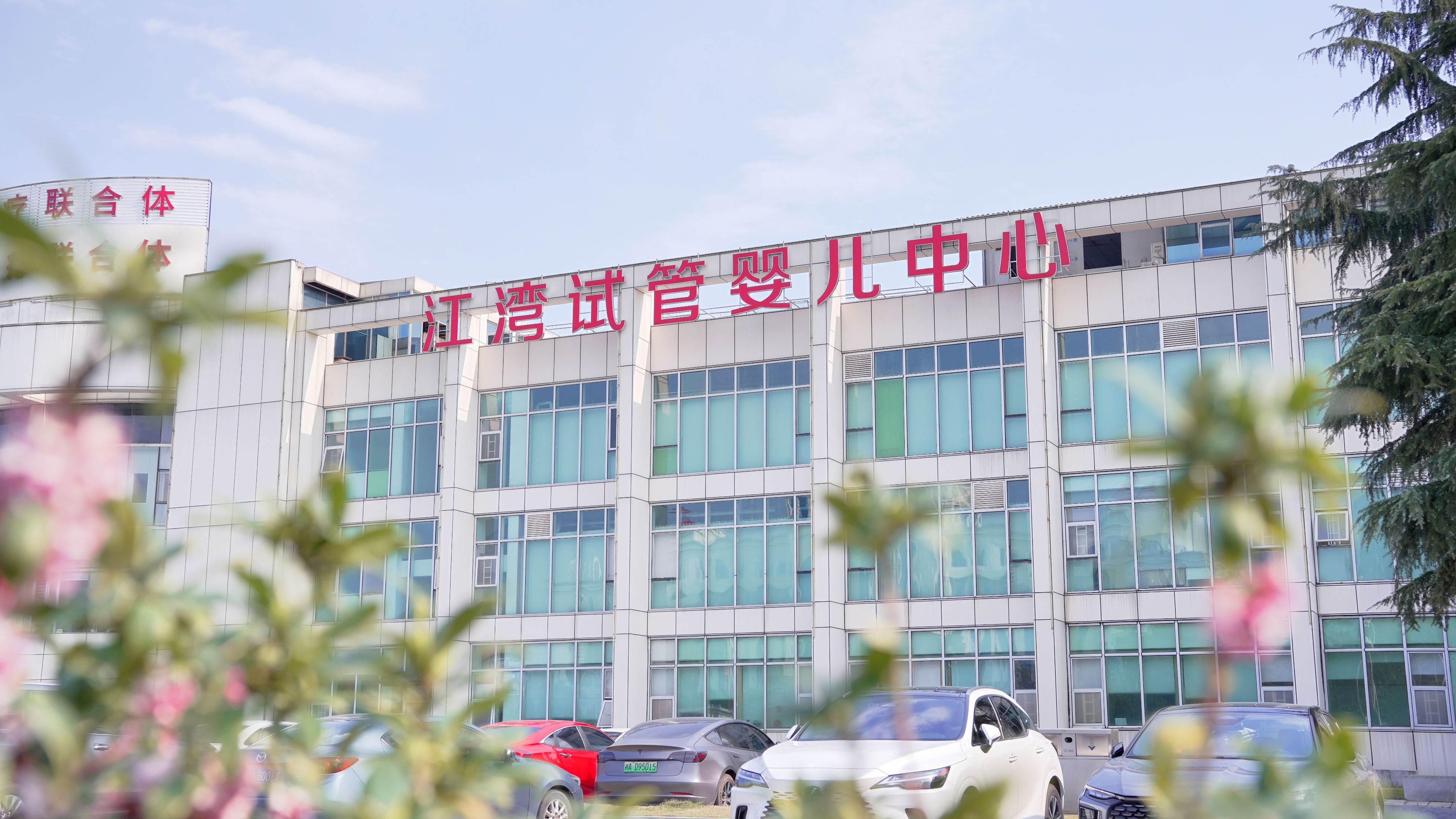 圆梦母亲节：江湾致敬每一位努力前行的「妈妈」