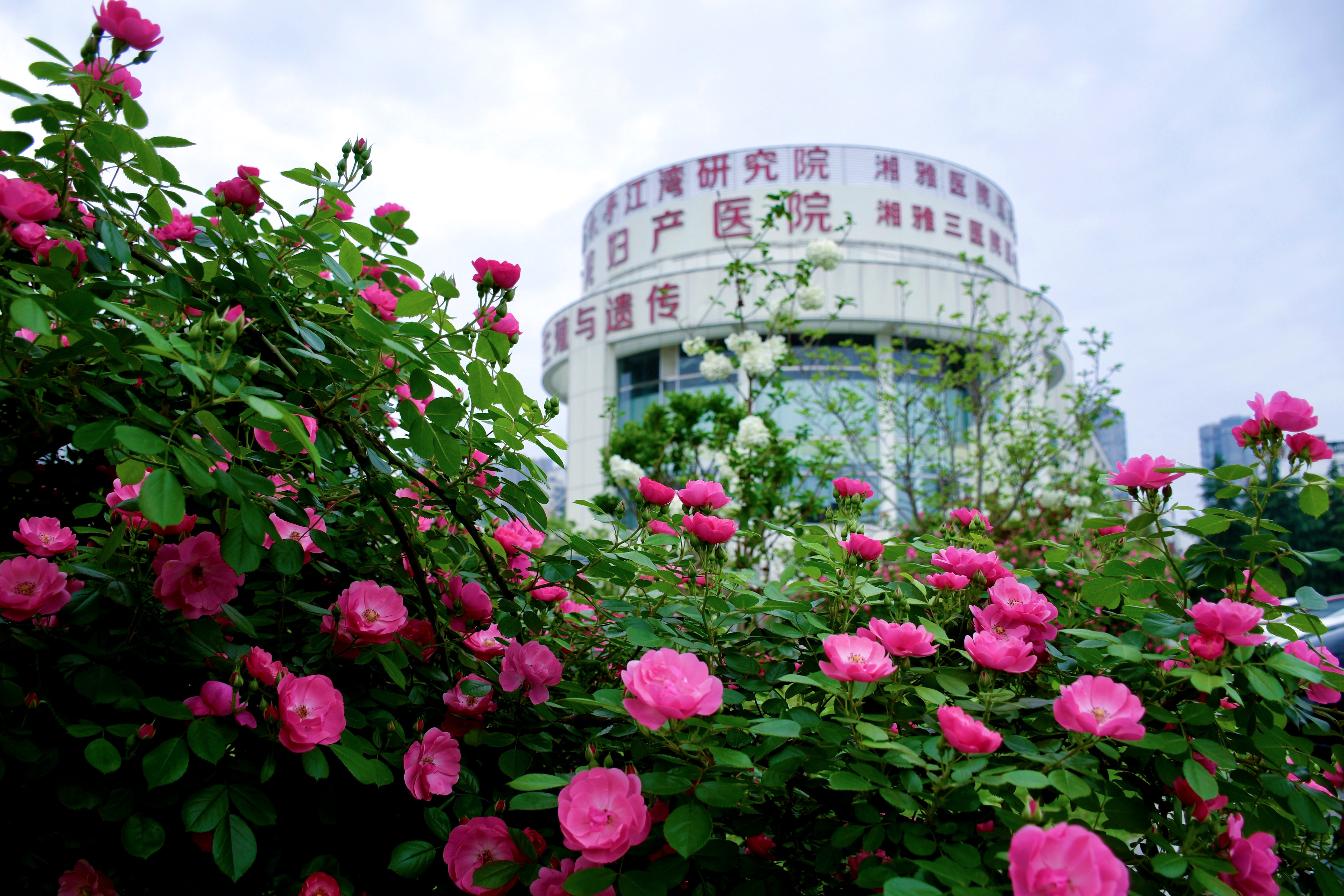 科学备孕指南:把握黄金假期,迎接健康新生命