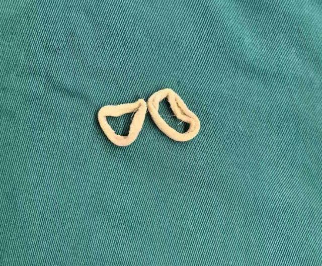 6969261066293392291.jpeg?file=648514019