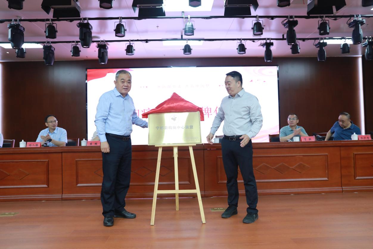 「百场义诊献礼 100 年二附」第 19 站大型义诊活动进宁都