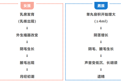 7 岁乳房发育？10 岁来月经？这些「早熟信号」千万别忽视！