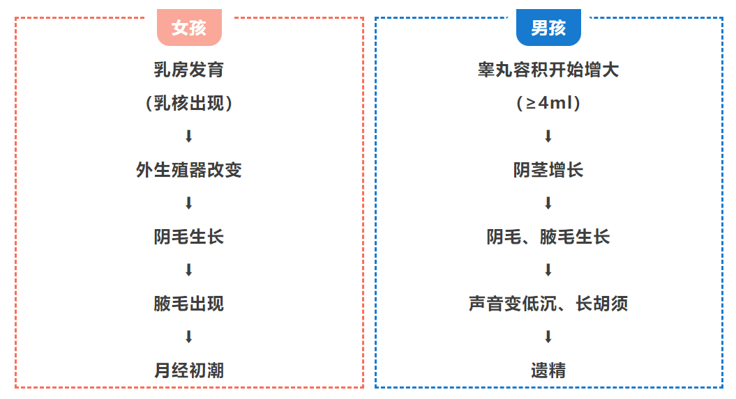 7 岁乳房发育？10 岁来月经？这些「早熟信号」千万别忽视！
