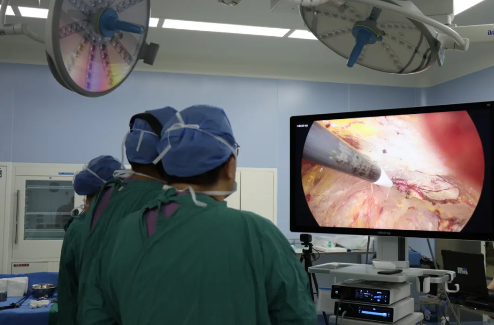 中国非公立医疗机构协会日间手术与疝外科专业委员会成立大会暨首届学术年会在西安高新医院圆满举行