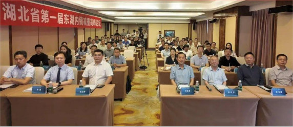 湖北省第一届东湖内镜减重高峰论坛暨内镜减重学习班成功举办 肥胖症诊疗迈入「微创精准+多学科协作」新阶段（通讯员 吴迪 杨梦然）