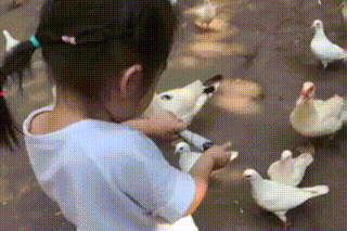 致死率几乎 100%！什么情况下需要打狂犬疫苗？