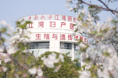 警惕 「隐形杀手」！塑料微粒正在悄悄威胁你的卵巢与生育力