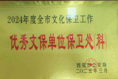 喜报！西安高新医院保卫工作获省市表彰