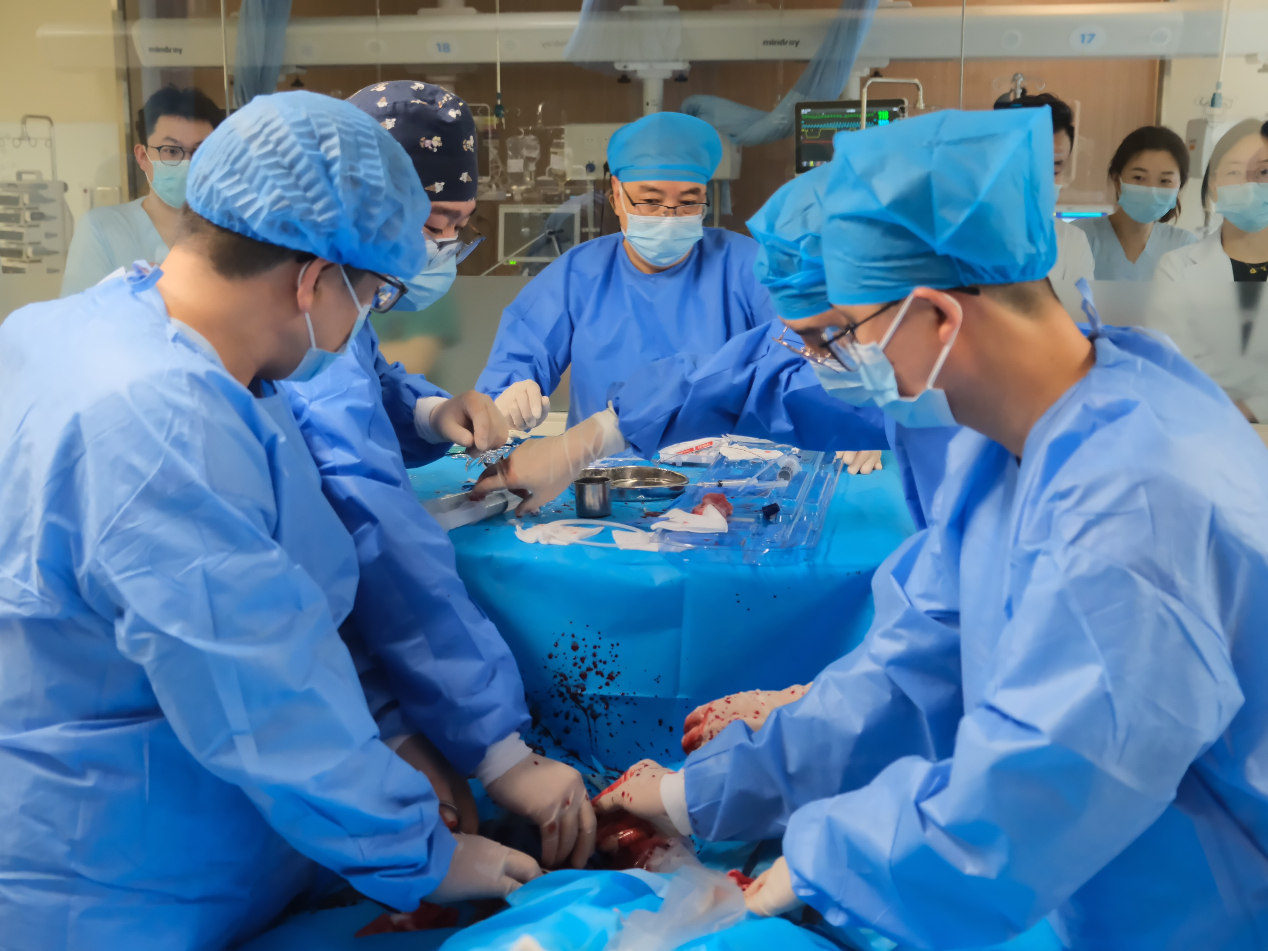 八旬老人心脏「罢工」 成都京东方医院首例 ECMO 联合救治成功「重启」生命