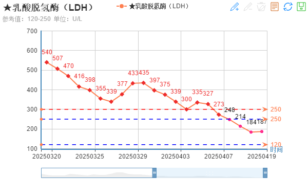 CAR-T 治疗成功逆转老年复发难治弥漫大 B 细胞淋巴瘤
