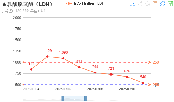 CAR-T 治疗成功逆转老年复发难治弥漫大 B 细胞淋巴瘤