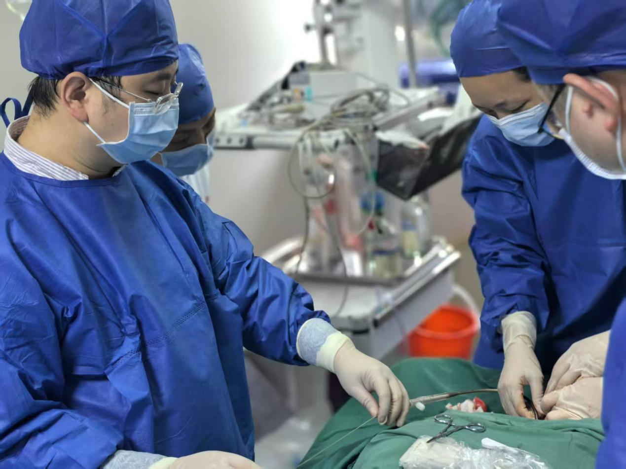 浙赣携手提升重症救治能力：浙大一院专家徐俊驻点南昌大学二附院